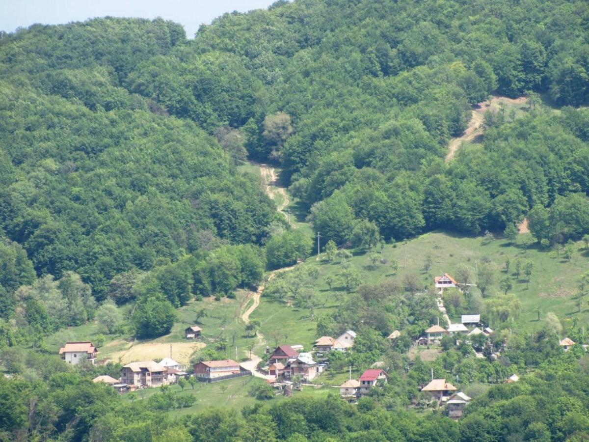 Hotel Parang Băile Olăneşti エクステリア 写真
